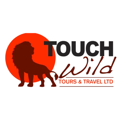 Touch Wild